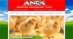 Desktop Screenshot of anek.pl
